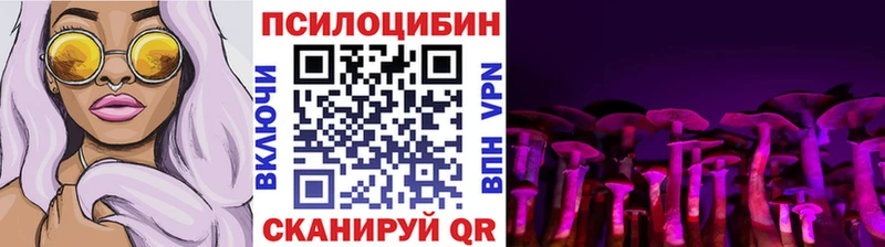 купить наркоту  Могоча  Псилоцибиновые грибы MAGIC MUSHROOMS 