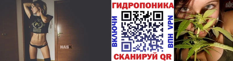 продажа наркотиков  Могоча  Канабис гибрид 